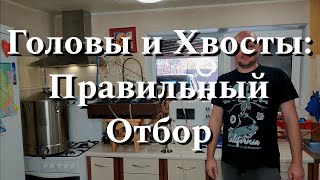 Головы и Хвосты: Правильный Отбор 🥃