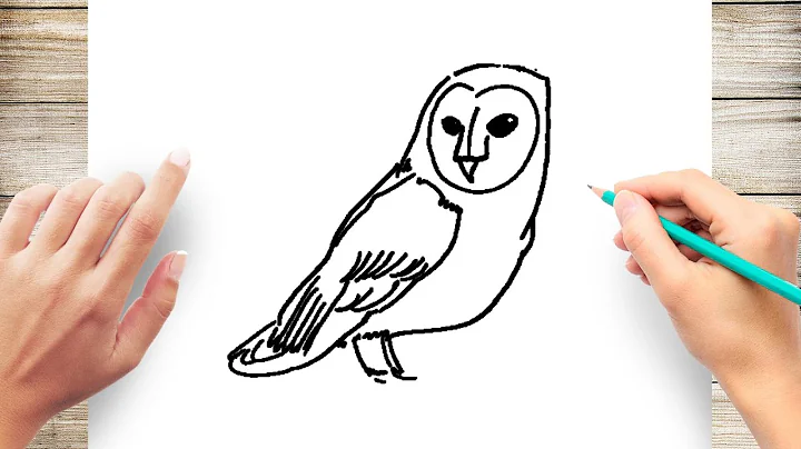 How to Draw Barn Owl Step by Step for Kids