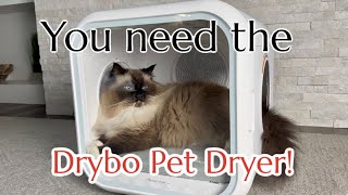 Homerunpet Drybo Plus Pet Dryer by Rex and Sky In the City 4,797 views 10 months ago 3 minutes, 30 seconds