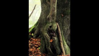 Wanderung Von Kasbach Nach Kalenborn