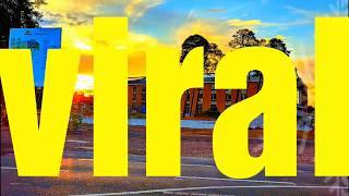 Top Viral Videos 2019