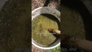 Turn grass into fertilizer