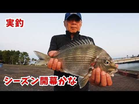 Fukase Fishing at Miyazaki Port in Late May (Black Seabream