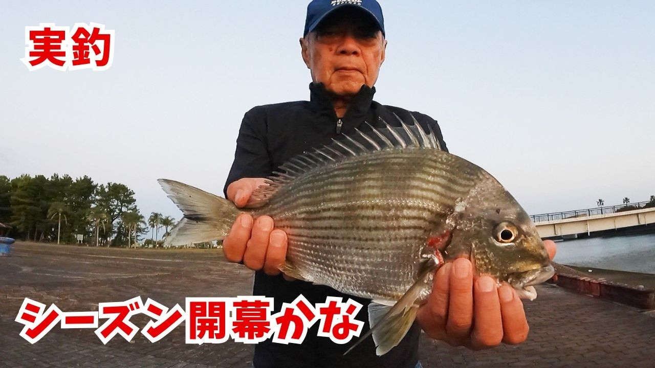 Fukase Fishing at Miyazaki Port in Late May (Black Seabream