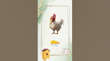 Bé học về các loài chim (gia cầm) trong tiếng anh ( Phần 1)|Bé học tiếng anh #behoctienganh #english