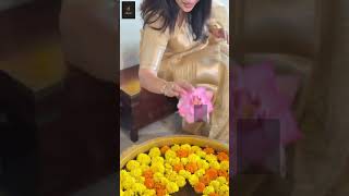 Line Weaved Viscose Tissue Organza Saree