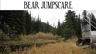 Bear Jumpscare