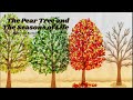 The Pear Tree And The Seasons Of Life