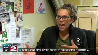 Susquehanna SPCA taking in dogs facing euthanasia