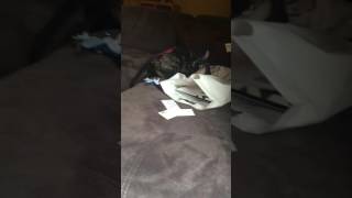 Httpsdrivegooglecomopenid0bzwcwfvnypsbttllmlpfcmtveg8