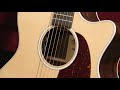 Martin Road Series GPC13E demo