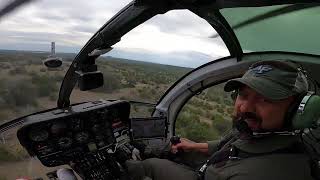 MD530 low flight.