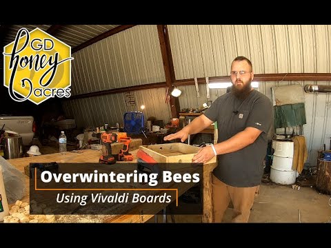 Overwintering Honey Bees: