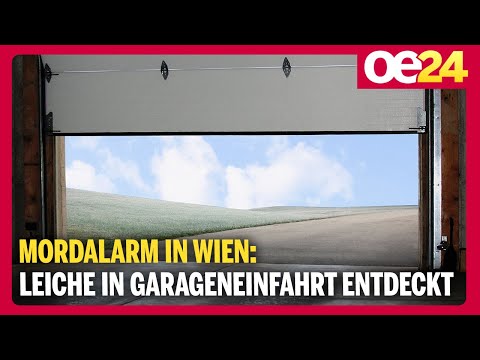 Mordalarm in Wien: