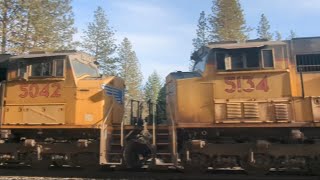 union Pacific stack train with 2 dpu.