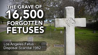 The Grave of 16,500 Forgotten Fetuses - Los Angeles Fetus Disposal Scandal 1982 4K