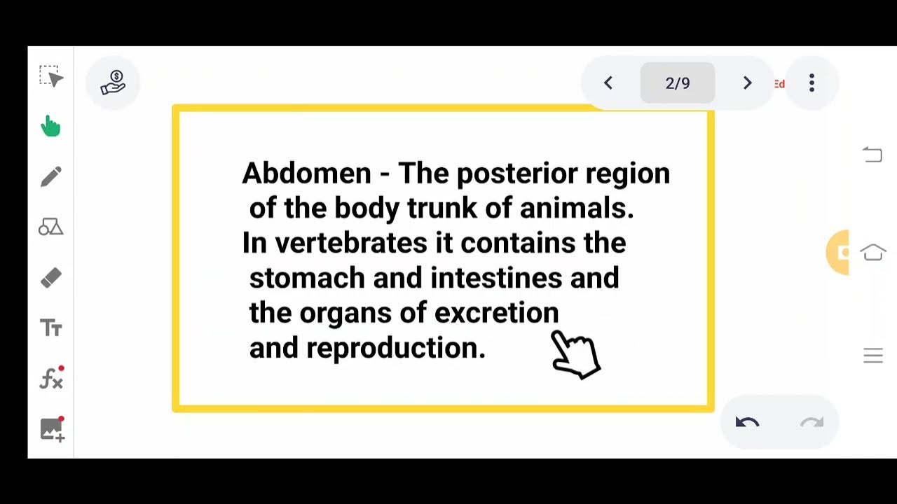 Abdomen - meaning English-Tamil biological meaning of words YouTube