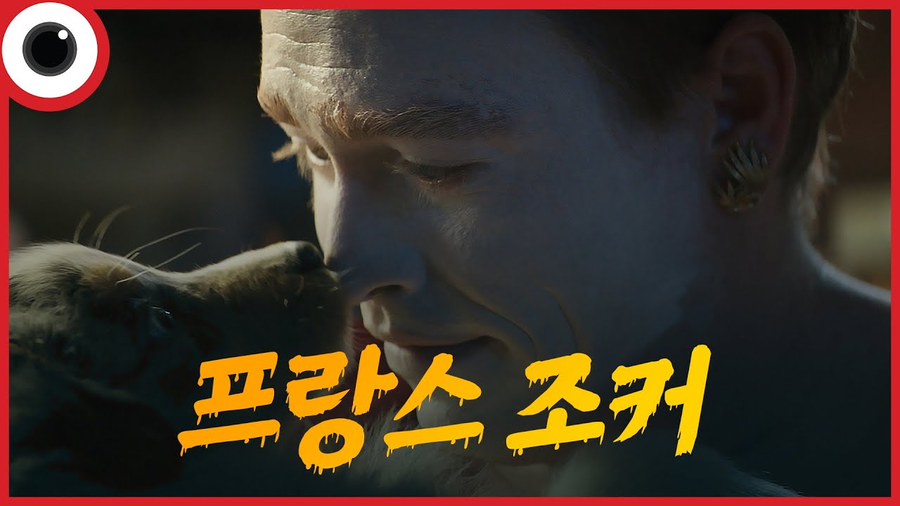 유부남들 반려견으로 구원받으세요 🐶도그맨 (DOGMAN) - YouTube