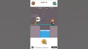 Impostor Puzzle Level 14