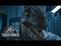 What is Blue&#39;s DNA Needed For? | JWFK Final Trailer Theory | Velociraptor