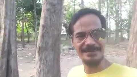 🔴 Mat Ordul || Nyapo Kerjo Koyo Wong Tipis Wae