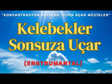 Kelebekler Sonsuza Uçar (Enstrümantal)