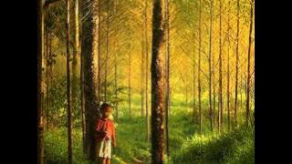 Deep Forest - Forest Hymn