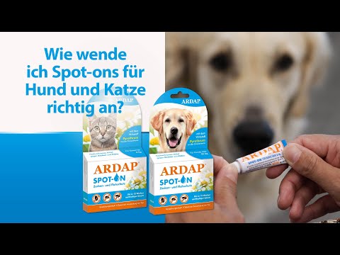 Spot-On richtig anwenden – Zecken- & Flohschutz für Hunde & Katzen