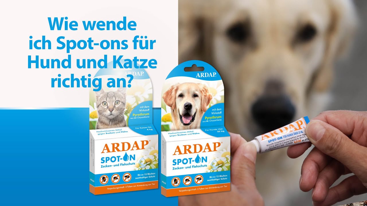 trockenfutter mit pferd Trockenfutter - Pferd - Adult