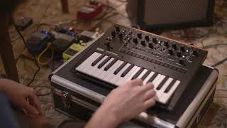 Monologue + looper VI