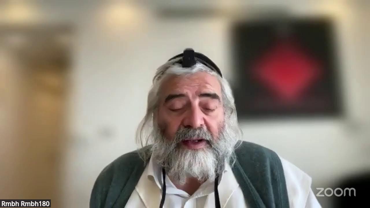 Daf HaYomi - Zevahim 112
