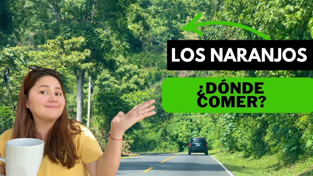 Ruta Gastronómica LOS NARANJOS, TOP 5 RESTAURANTES con vista panorámica