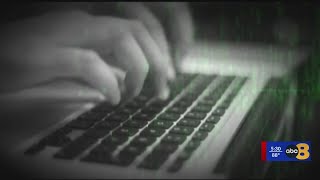 Virginia secures $1.5 billion to expand internet access in 'broadband deserts'