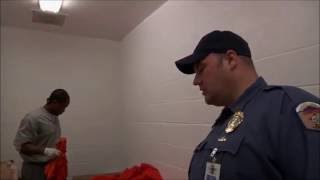 Download Lagu Spread Your Butt MP3