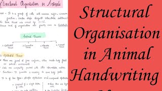 Structural Organisation in Animal Handwriting Notes Pdf For Neet Board Exam Class 11th Biology  screenshot 4