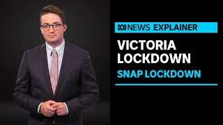 Analyst Casey Briggs says almost half of Australias population will enter lockdown | ABC News