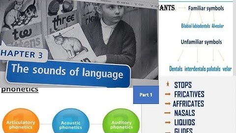 The sounds of language #chapter#3 part 1|The study of language by George yule