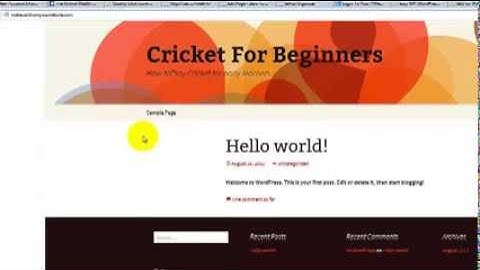 Blogging Series - Video 1 Installing WordPress on your domain
