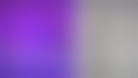 History honours 3rd sem/course: cc-v /2022/ Burdwan University(CBCS)