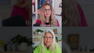 Food Requirements for Cats