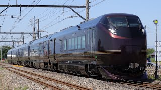 E655系なごみ(和) 越後湯沢行き団体臨時列車 井野〜新前橋を通過