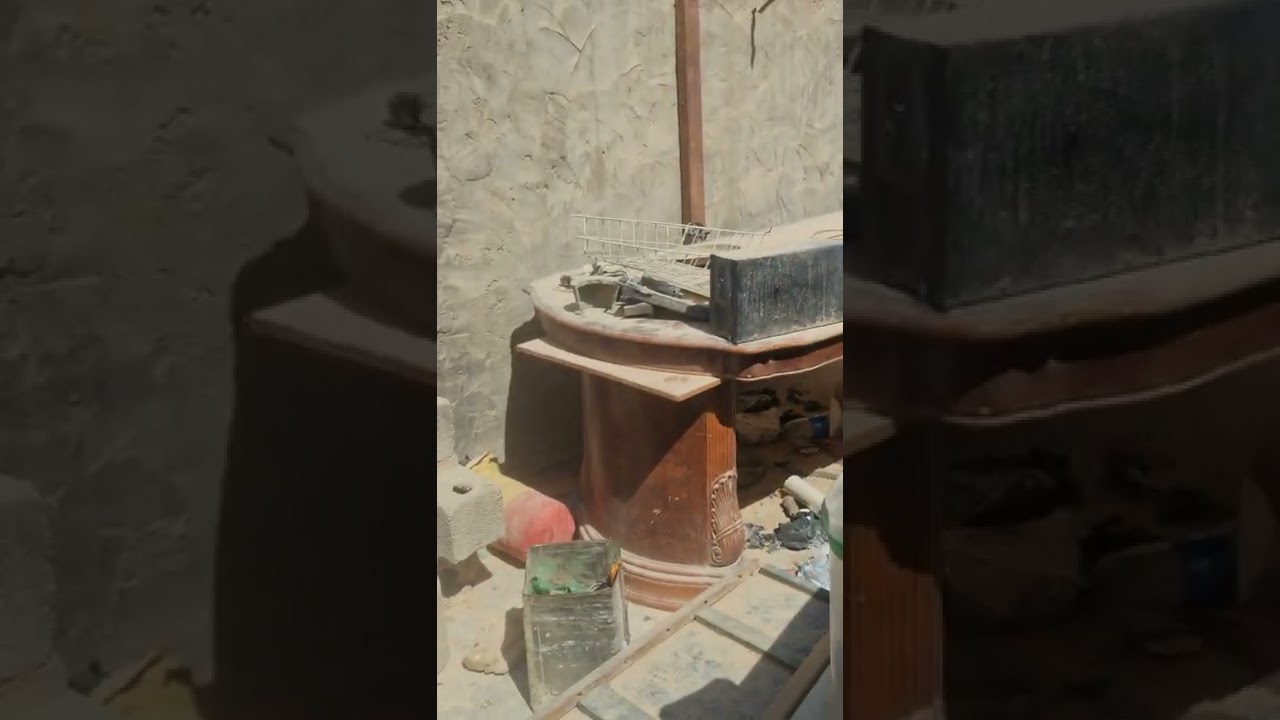 تربية الدجاج و البط في سطح المنزل