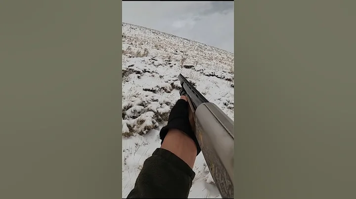 KARDA TAVŞAN AVI BAŞKADIR (KOŞMASAM İMKANSIZDI) HARE HUNTİNG #hunter #hunting #harehunting