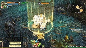 Tree of Savior Barrier bug