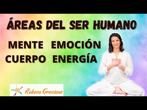 Cómo funciona la relación Cuerpo-Mente y áreas