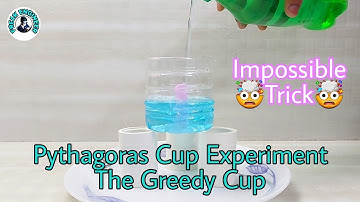 Pythagoras cup | greedy cup
