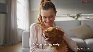 Going on Vacation How to Prepare Your Dog Before You Leave 🐶✈️