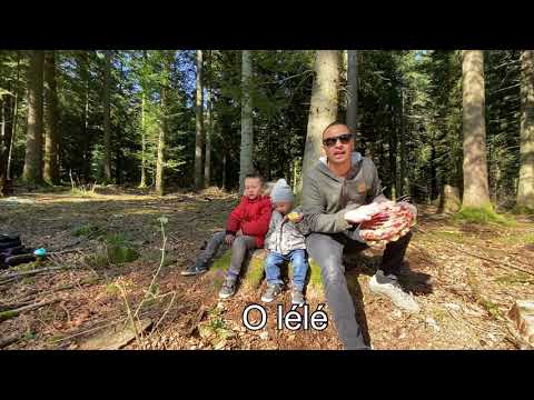 Chansons De Capoeira Pour Débutants 