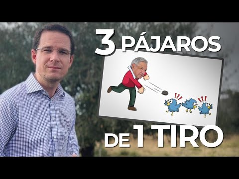 3 pájaros de un tiro