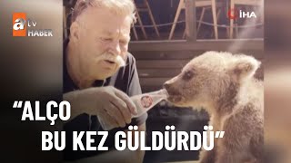 Nuri Alço Yavru Ayıya Gazoz Içirdi - Atv Ana Haber 9 Eylül 2022